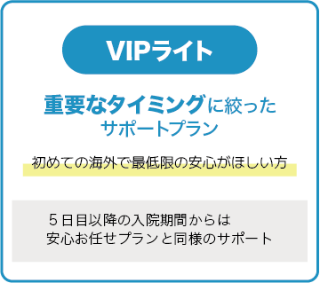 VIPプラン